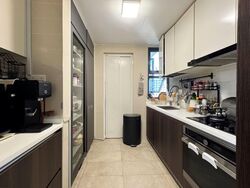 Symphony Suites (D27), Condominium #566423751